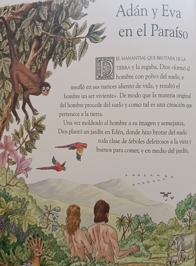 La Biblia ilustrada - Imagen 3