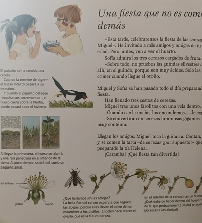 Frutos y frutas -Gerda Muller- - Imagen 4