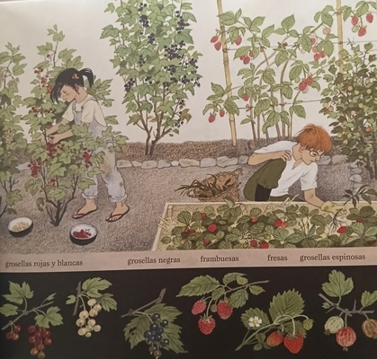 Frutos y frutas -Gerda Muller- - Imagen 3