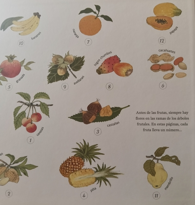 Frutos y frutas -Gerda Muller- - Imagen 5